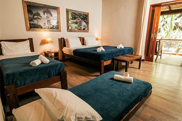 אובטובה Banana Bamboo Ecolodge מראה חיצוני תמונה